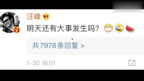 娱乐吃瓜免费观看网站,揭秘免费观看娱乐吃瓜网站的奥秘  第2张